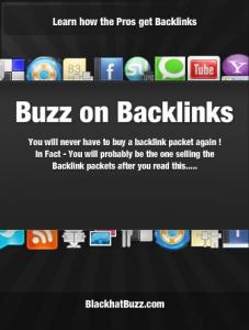 BuzzBL 227x300 The Buzz on Backlinks