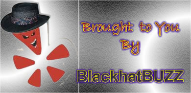BHbuzz brought2 Automated Blackhat Money