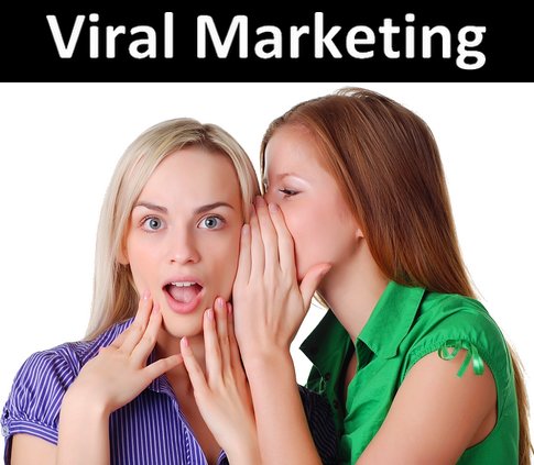 Viral marketing principles size485 Viral Marketing